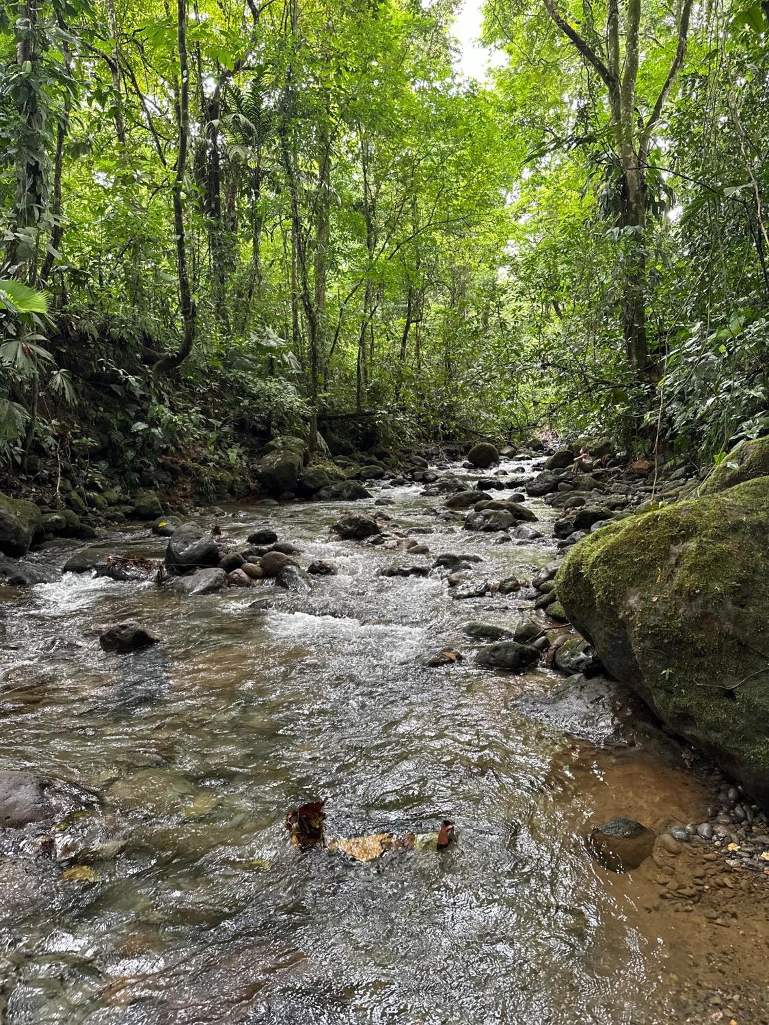 Villas Sapiens Arenal La Fortuna Dış mekan fotoğraf